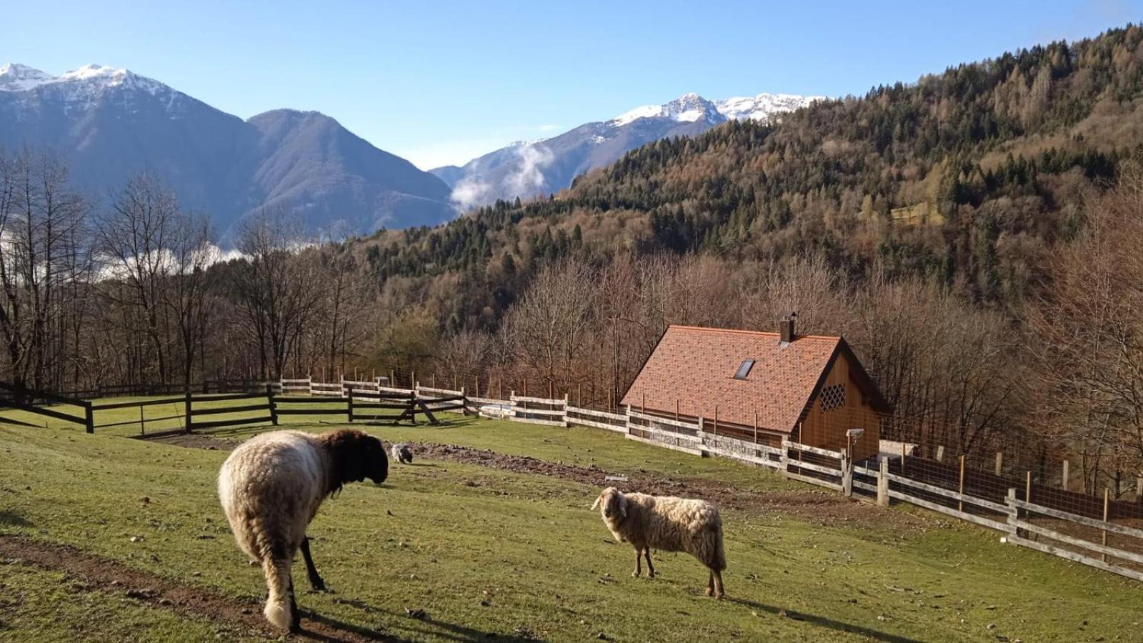 Chalet Navauce Raveo Εξωτερικό φωτογραφία